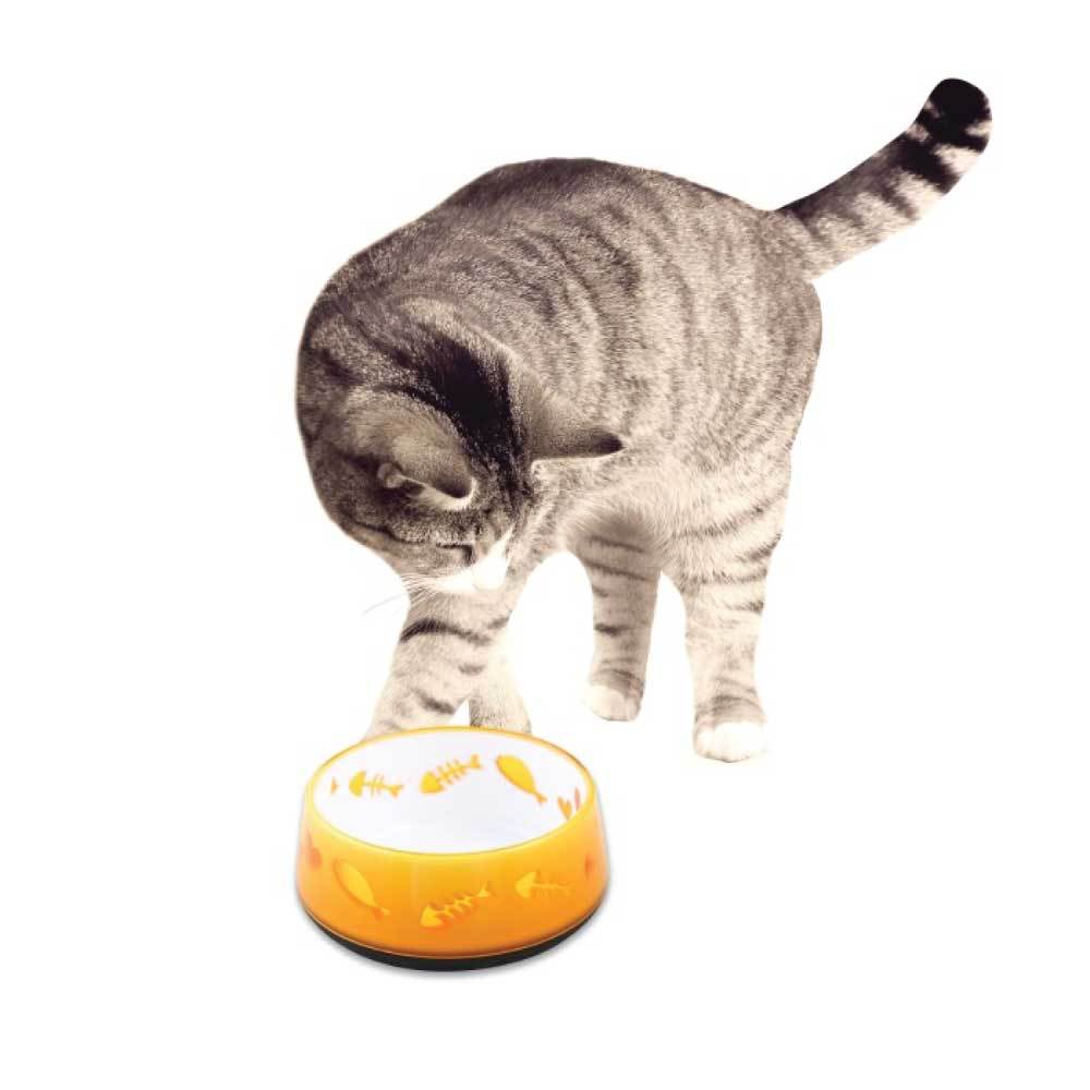 300ml Cat Bowl Orange Love